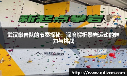 武汉攀岩队的节奏探秘：深度解析攀岩运动的魅力与挑战